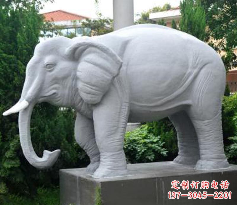 公園動(dòng)物大理石大象石雕 (5)