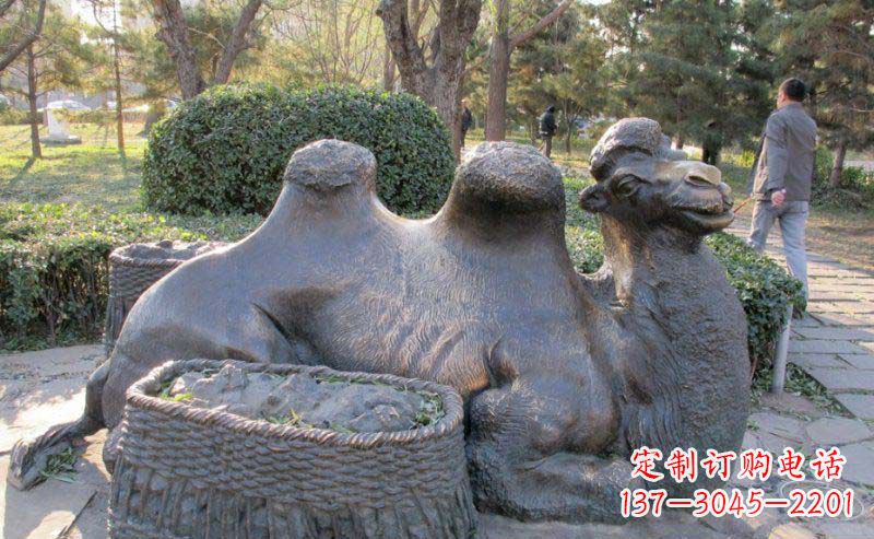 公園駱駝動(dòng)物銅雕