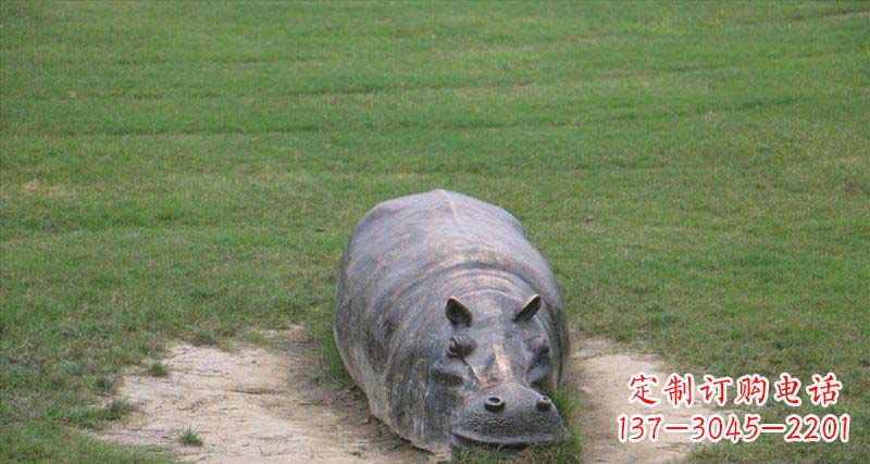 公園/河馬/動物/銅雕-公園趴著的河馬動物銅雕