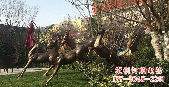 公園鑄銅小鹿動(dòng)物銅雕 (3)