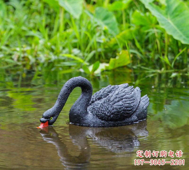 黑天鵝喝水款-池塘水塘裝飾動物雕塑擺件