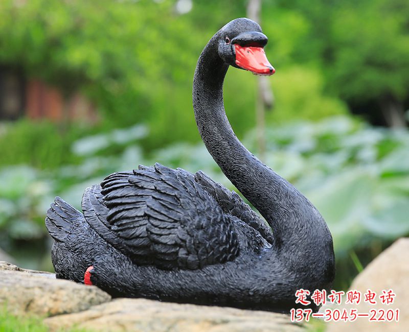 黑色天鵝臥姿雕塑-園林水景動物擺件